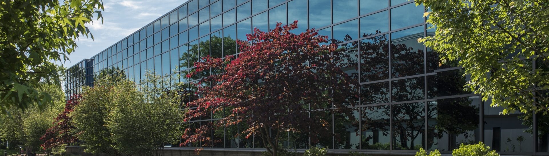 MassEcon Analog Devices – Wilmington