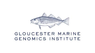 MassEcon Gloucester Marine Genomics Institute to open Boston Seaport location